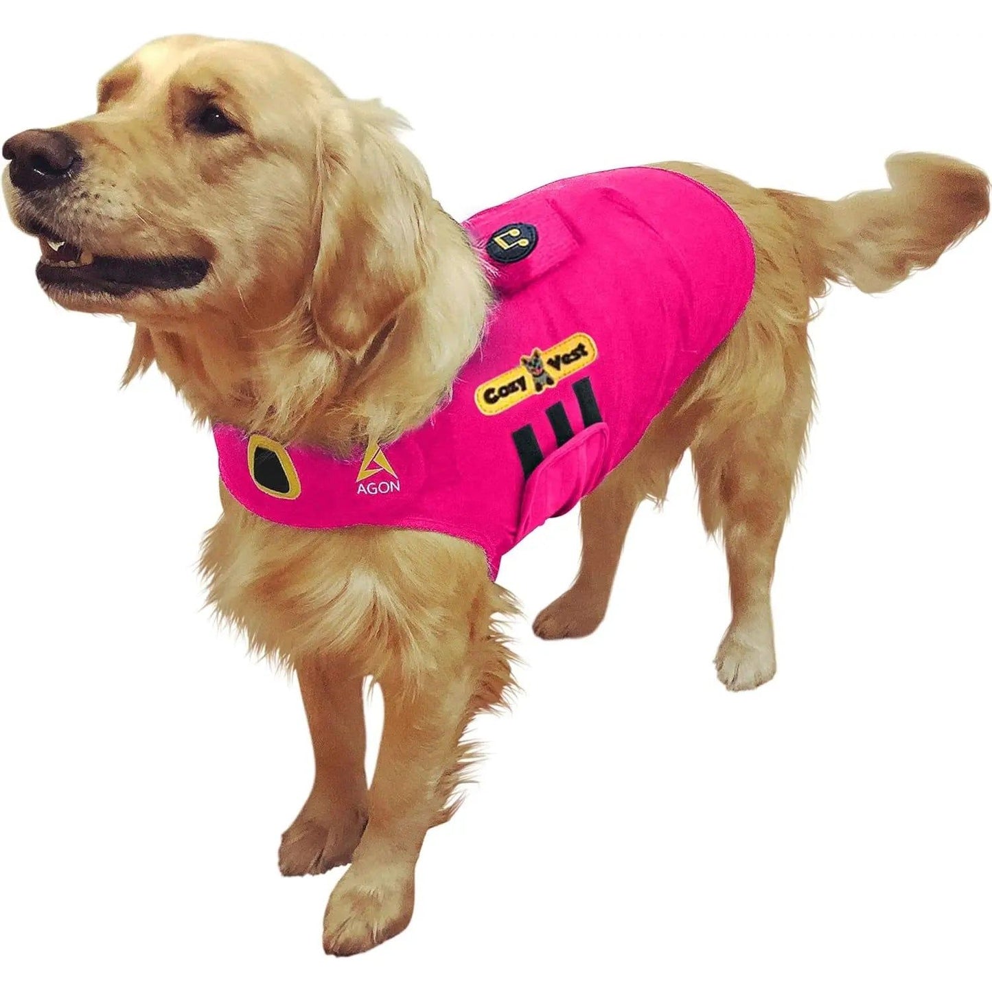 Golden retriever wearing a bright pink vest with black and yellow patches, standing alert.