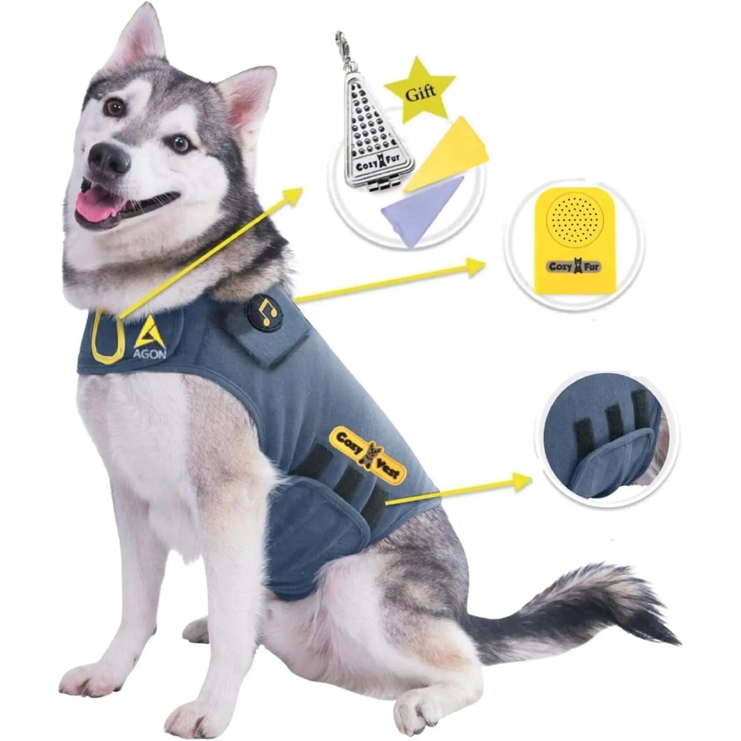 Husky wearing a blue anxiety vest with yellow accents, featuring a gift tag and accessories.