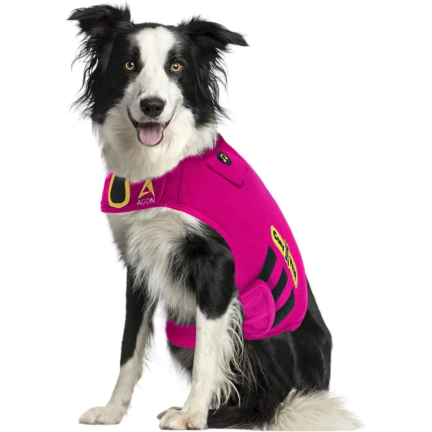Black and white dog wearing a bright pink vest with black and yellow patches, sitting and smiling.