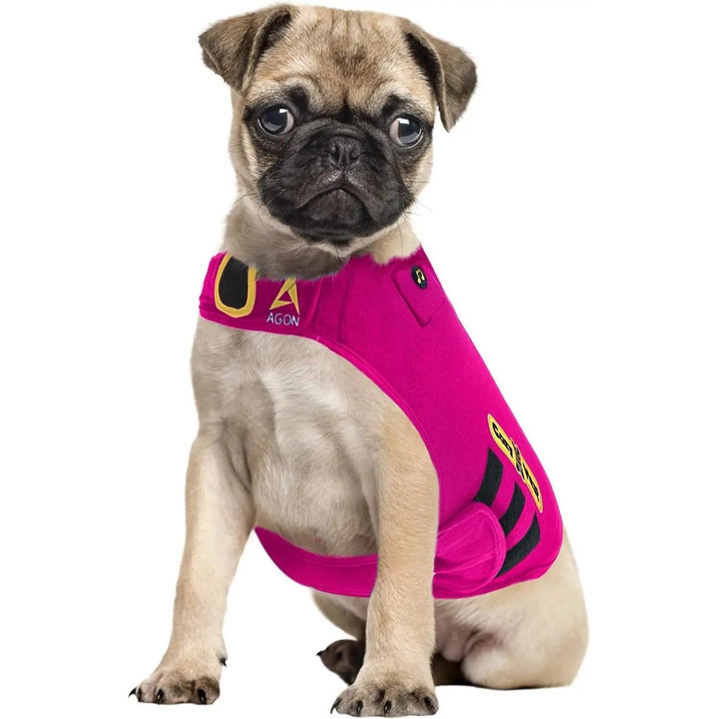 Pug wearing a bright pink vest with black and yellow patches, sitting against a white background.