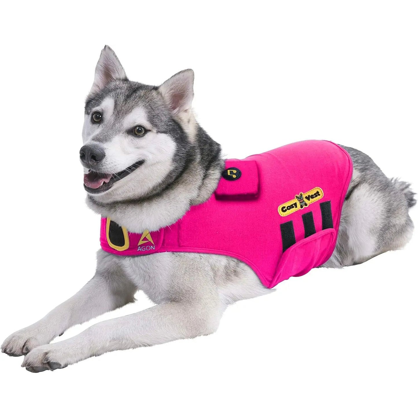 Husky wearing a bright pink vest with black accents, lying down and looking to the side.