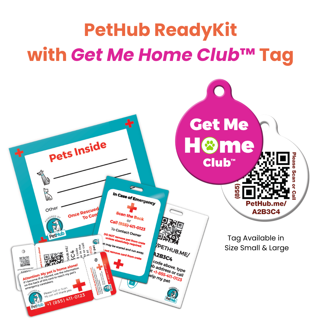 PetHub ReadyKit with pet info cards and QR tags in red, blue, and white.