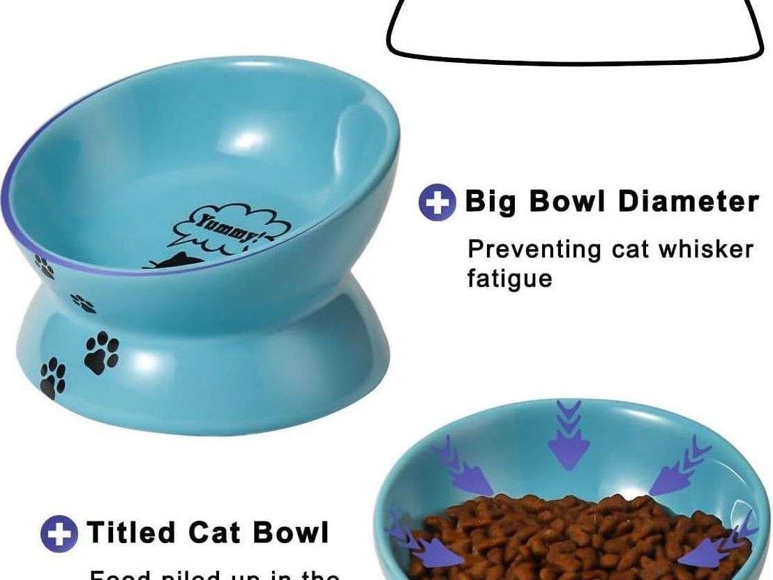 Ceramic Cat Food Bowl