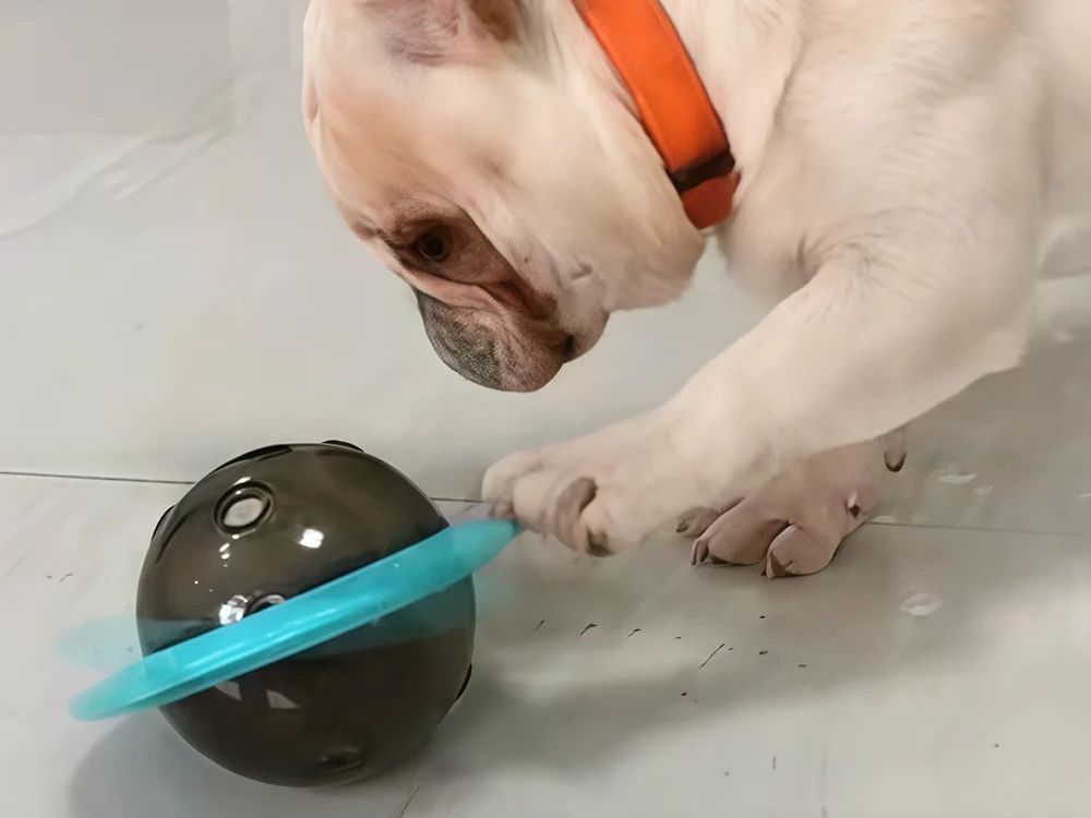 Interactive Dog Toy Treat Dispenser for Small Medium Large Dogs Cats Puppy Outdoor Training Pets Toys French Bulldog Supplies
