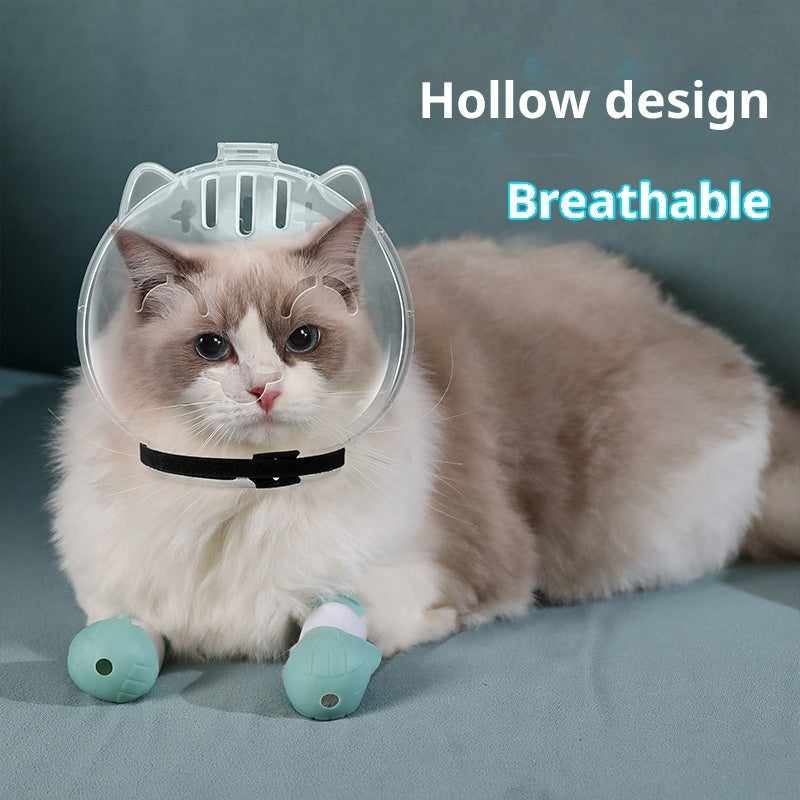 Fluffy cat with a clear, hollow cone and teal booties on a teal background. Text: "Hollow design, Breathable."