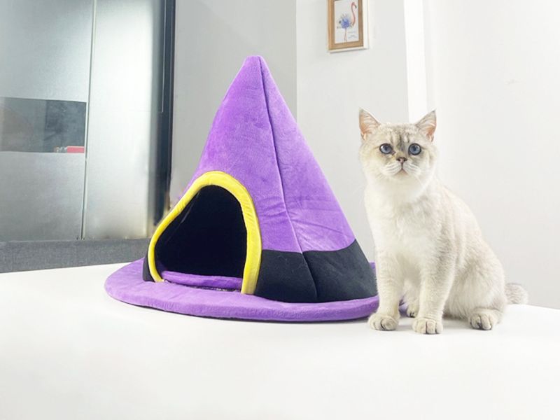 Halloween Witch Hat Cat Nest Cute Shape