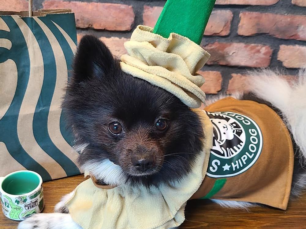 Latte Coffee Dog Costume Pet Costumes for Small Medium Dogs, Cat Outfit Dog Halloween Costume Puppy Cosplay Outfit Halloween Party Special Events