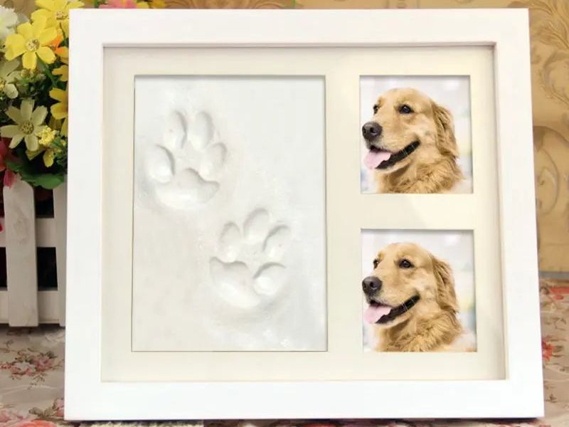 Pet Pawprint Keepsake Kit & Picture Frame