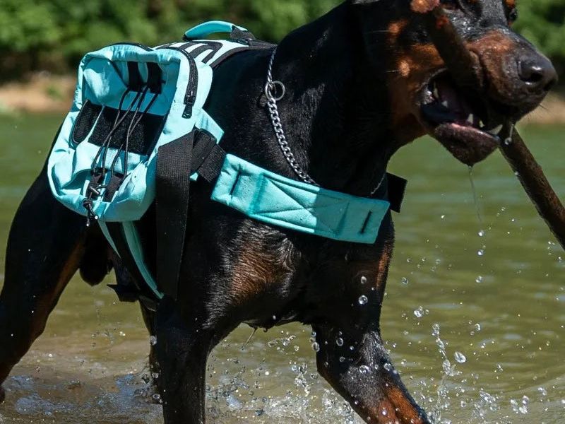 Ultimate Tactical Vest Harness for Large Dogs - Reflective, All-Season Comfort with Quick Release Closure
