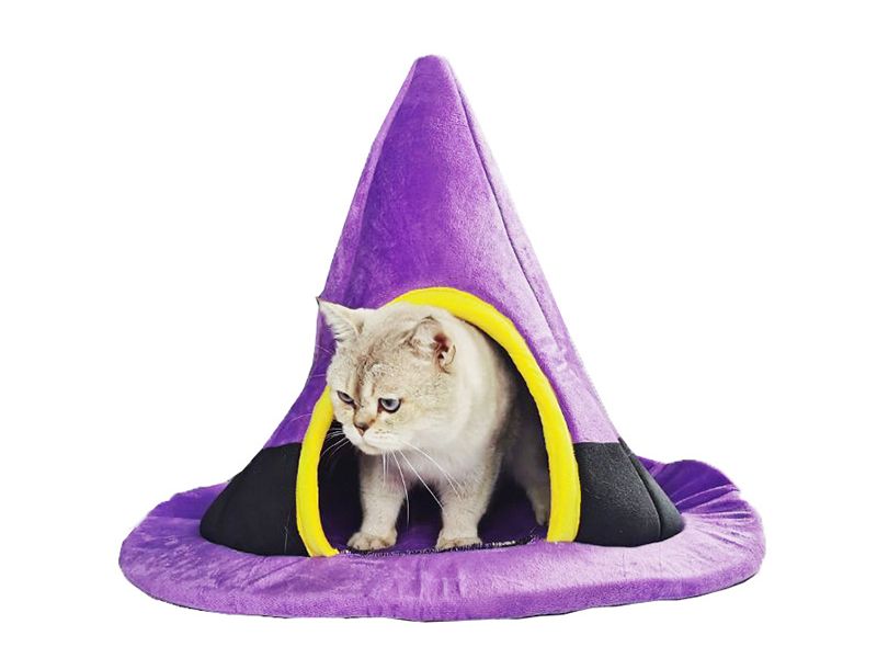 Halloween Witch Hat Cat Nest Cute Shape