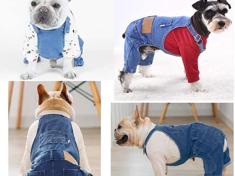 Breathable Pet Overalls for Cats and Dogs