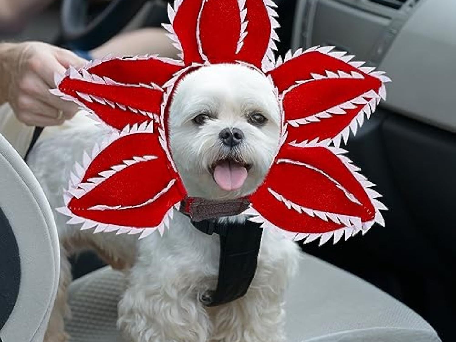 Dog Halloween Chomper Costume - Pet Holiday Demon Hat Scary Headband Flower Cosplay Outfits Funny Headwear Stranger Clothes for Medium Dog