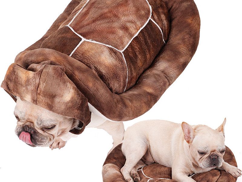 Tortoise Dual Purpose Transfiguration Multifunctional Pet Nest Winter Warm Clothing