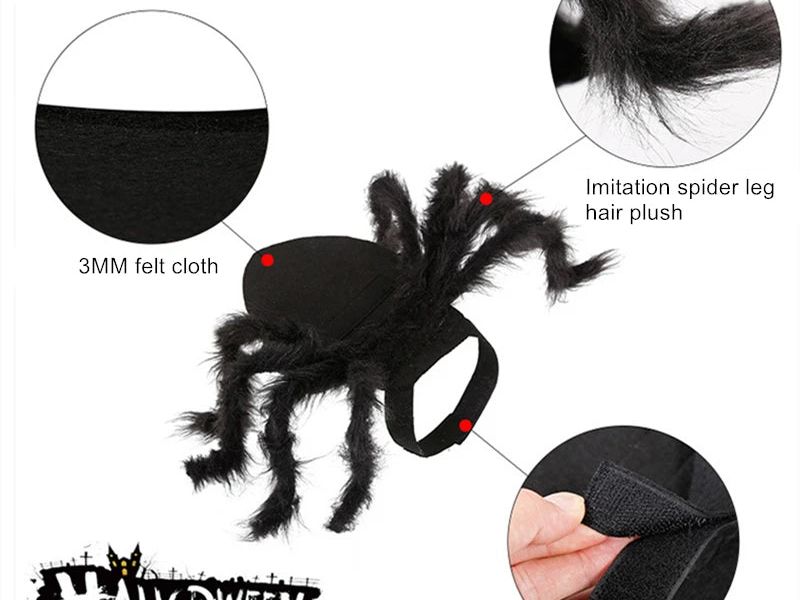 Cat Halloween Costume Cat Bat Wings - Pet Bat Costume Dress Costume Outfit Wing for Small Dogs Cats 2025 Newest Pet Halloween