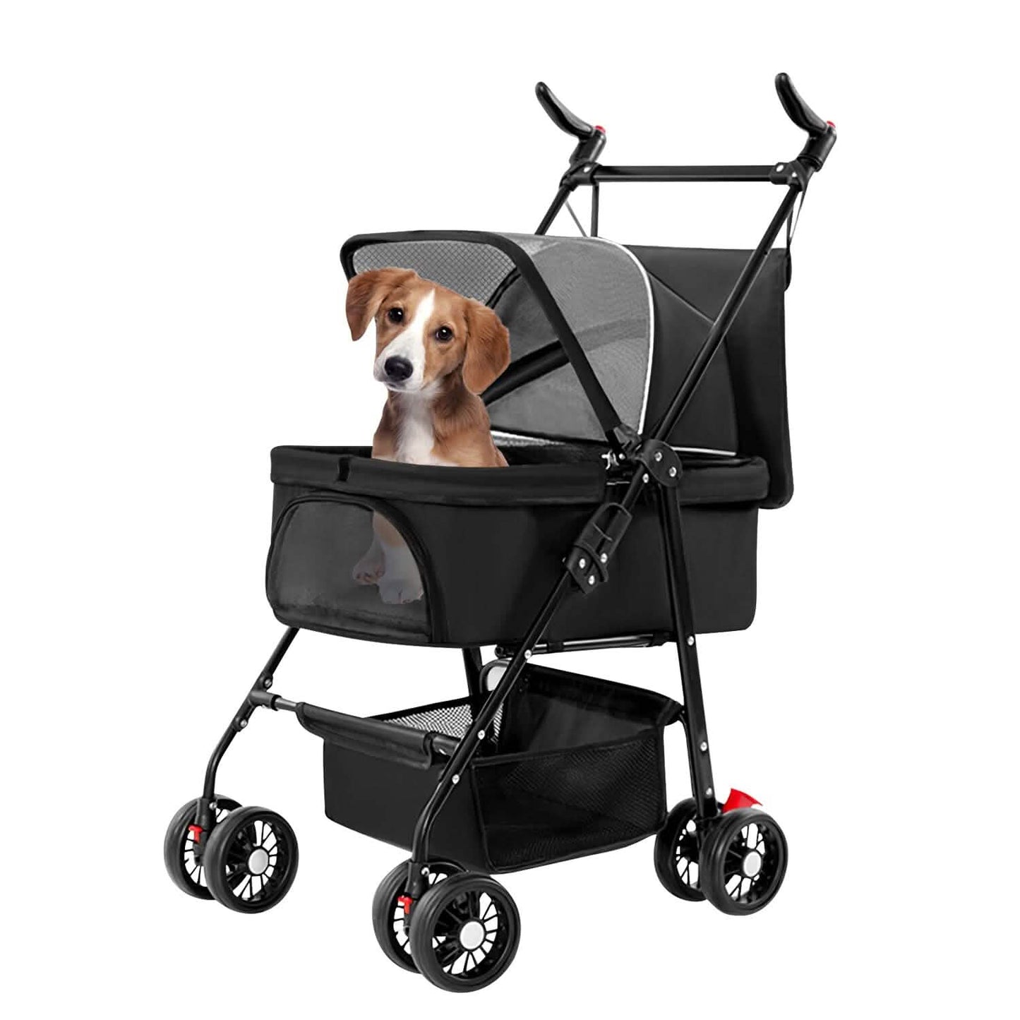 Brown and white dog in a black pet stroller with mesh cover and four wheels.