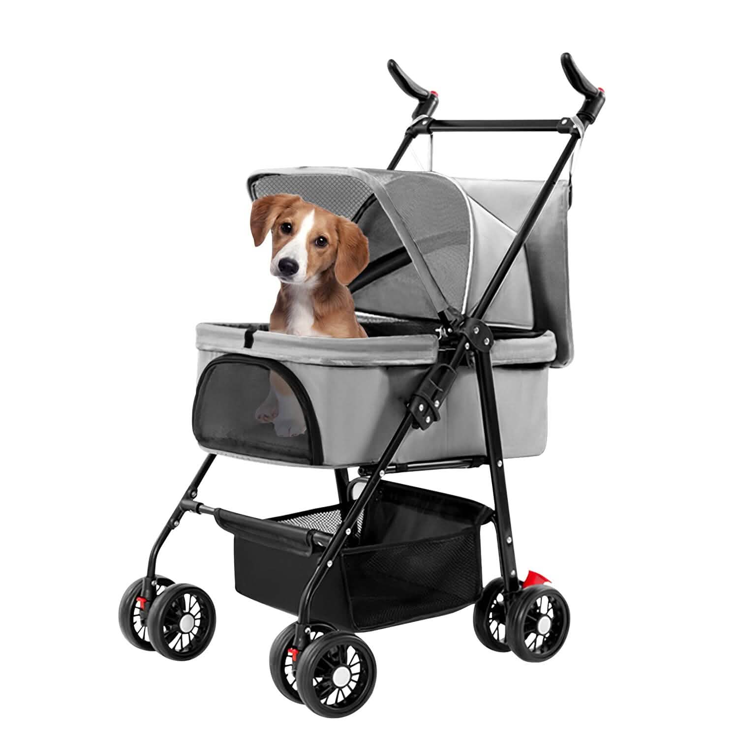 Brown and white puppy in a gray pet stroller with black frame and four wheels.