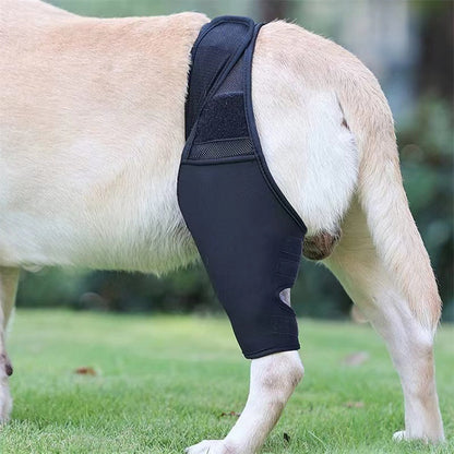 Dog Leg Support Protector, Front and Rear Leg Adjustment, Fixed Strap, Knee Brace for Injuries, Leg Protector for Dogs