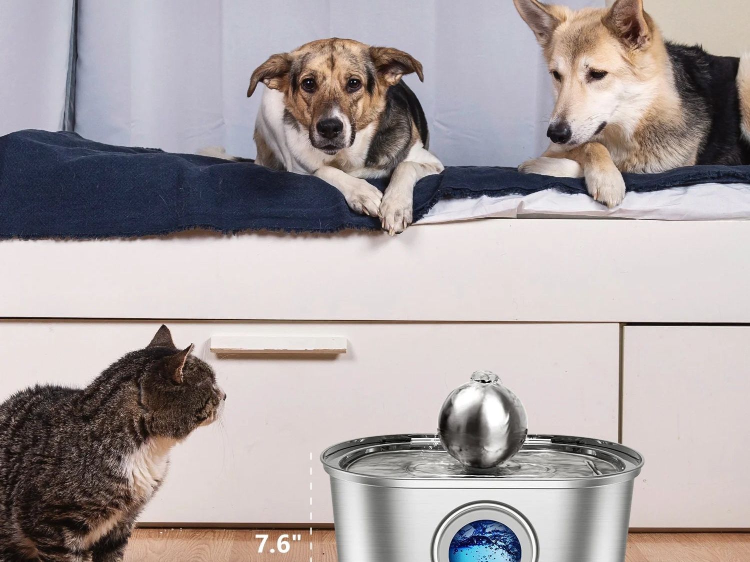 Stainless Steel Cat Water Fountain