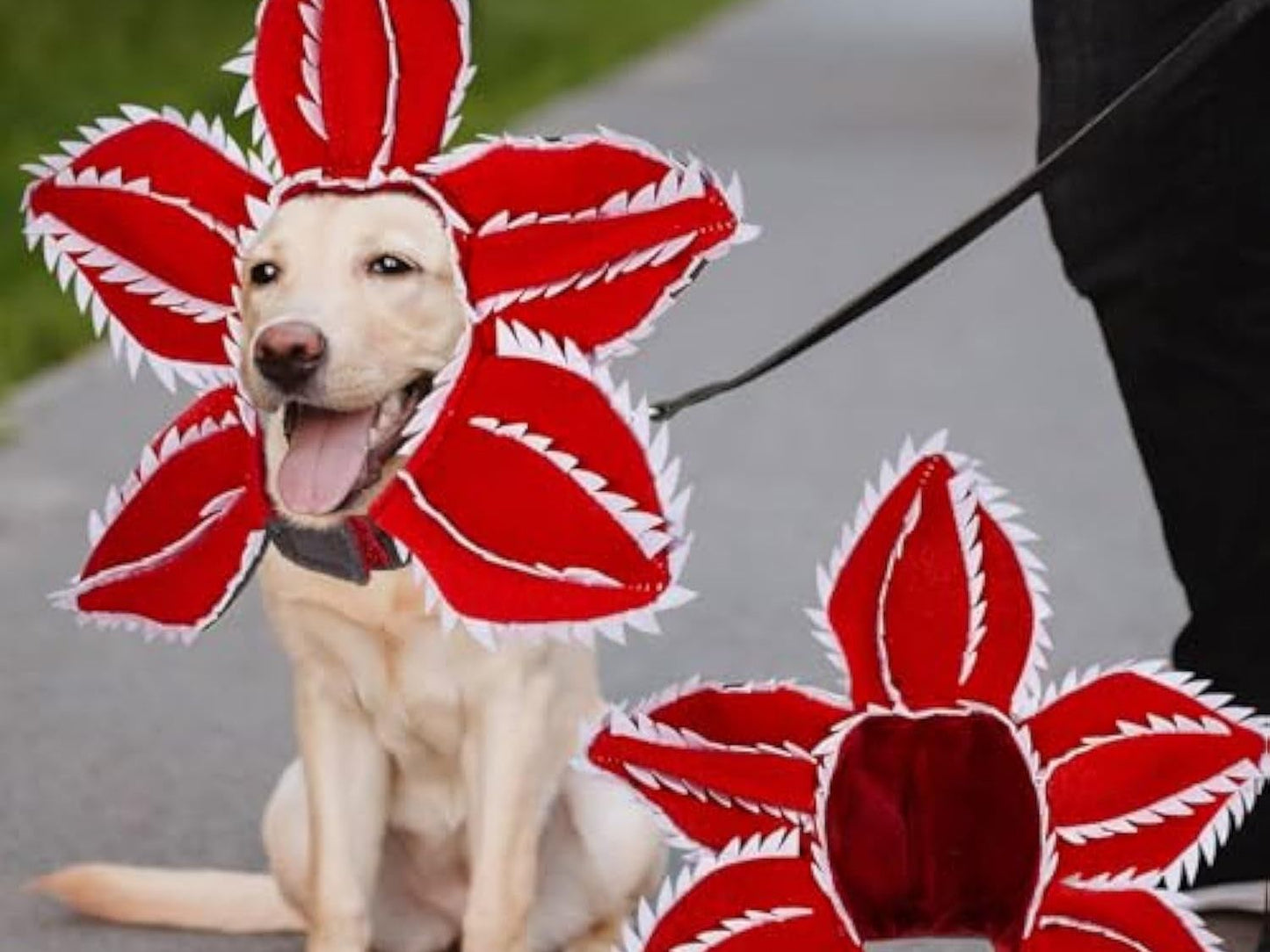 Dog Halloween Chomper Costume - Pet Holiday Demon Hat Scary Headband Flower Cosplay Outfits Funny Headwear Stranger Clothes for Medium Dog
