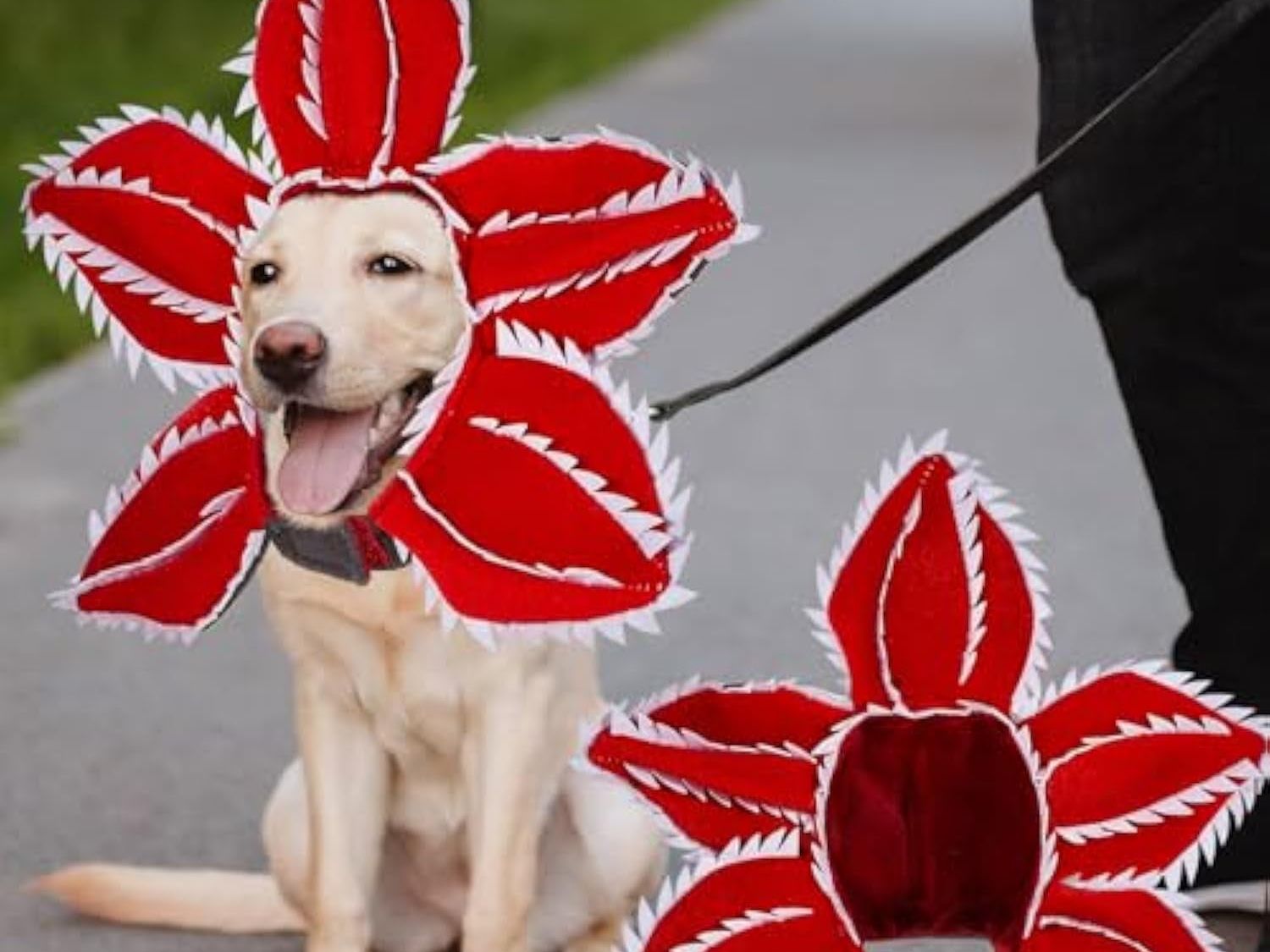 Dog Halloween Chomper Costume - Pet Holiday Demon Hat Scary Headband Flower Cosplay Outfits Funny Headwear Stranger Clothes for Medium Dog