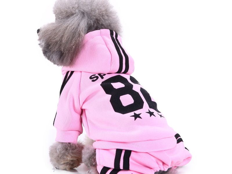 Four-Legged Pet Clothes Sportswear
