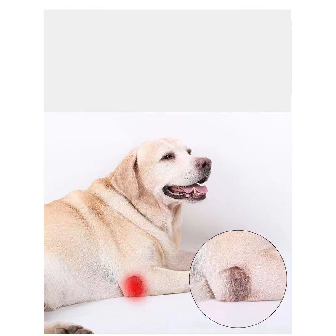 Dog Leg Support Protector, Front and Rear Leg Adjustment, Fixed Strap, Knee Brace for Injuries, Leg Protector for Dogs