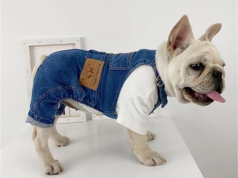 Breathable Pet Overalls for Cats and Dogs