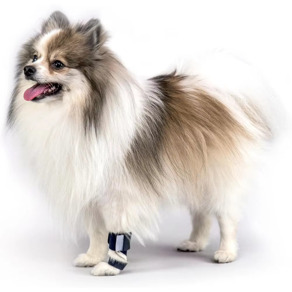 Splint Carpal Hyperextension Dog Brace ,Supports Fractures Sprains, Front Leg Support (Small Breeds) Ankle Splint Brace