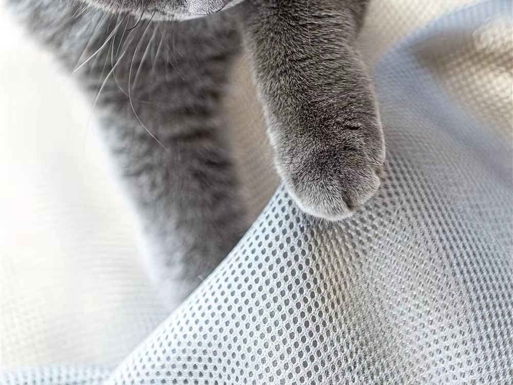 Cat Bed Pet Hammock Bed Cat Sleeping Bed Breathable Cooling Cot Sofa Pet Hammock Bed