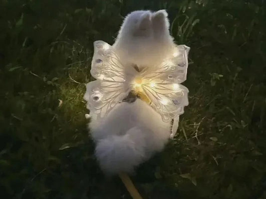 Dog Wings Glowing Butterfly Pet Back Decoration Creative Cute Pet Accessorie Dog Clothes for Small Medium Accessory Cat Supplies