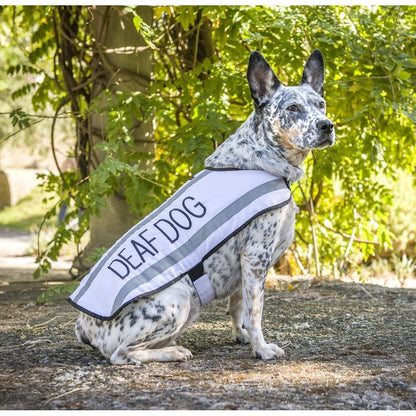 Limited Waterproof Reflective Fleece-Lined Dog Coats for Deaf Dogs - Available in Sizes S to XL, Prevents Accidents by Alerting Others (M-L Back Length 17" / 43 cm)
