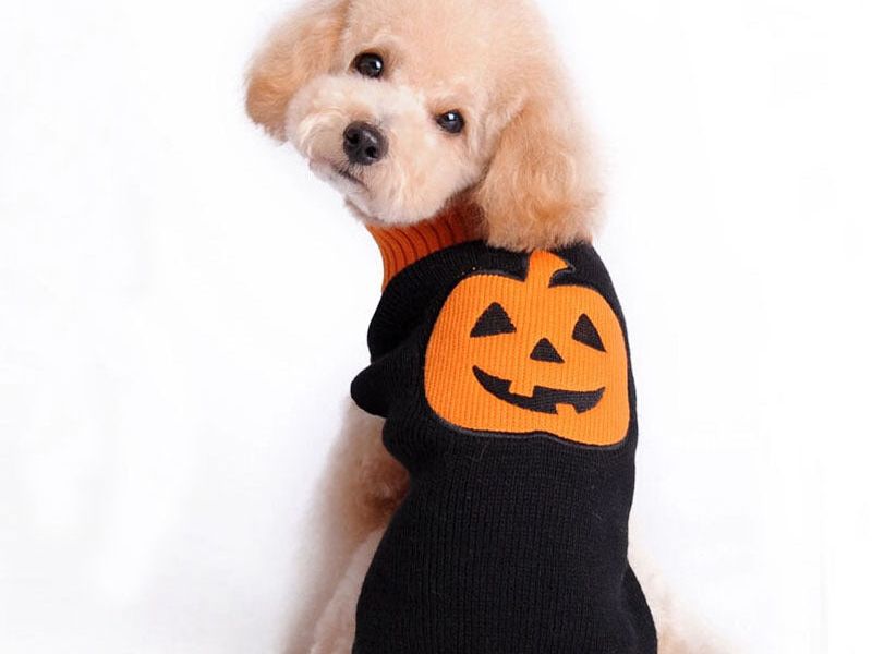 Pet Halloween Dog Knitted Pumpkin Sweater