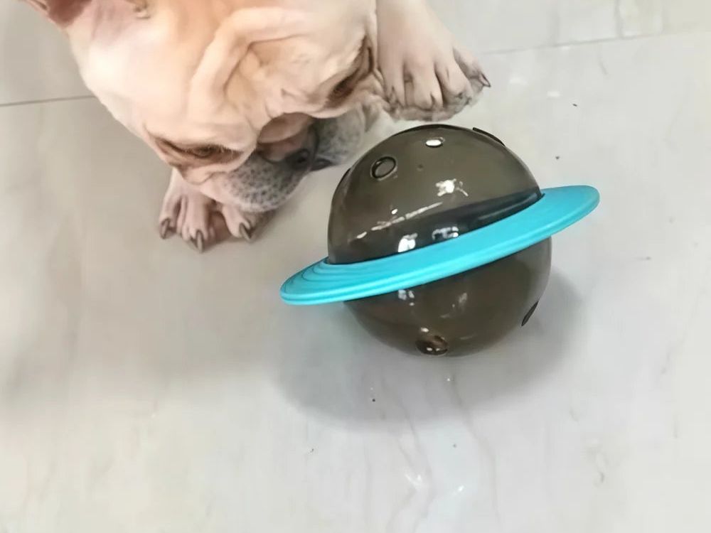 Interactive Dog Toy Treat Dispenser for Small Medium Large Dogs Cats Puppy Outdoor Training Pets Toys French Bulldog Supplies