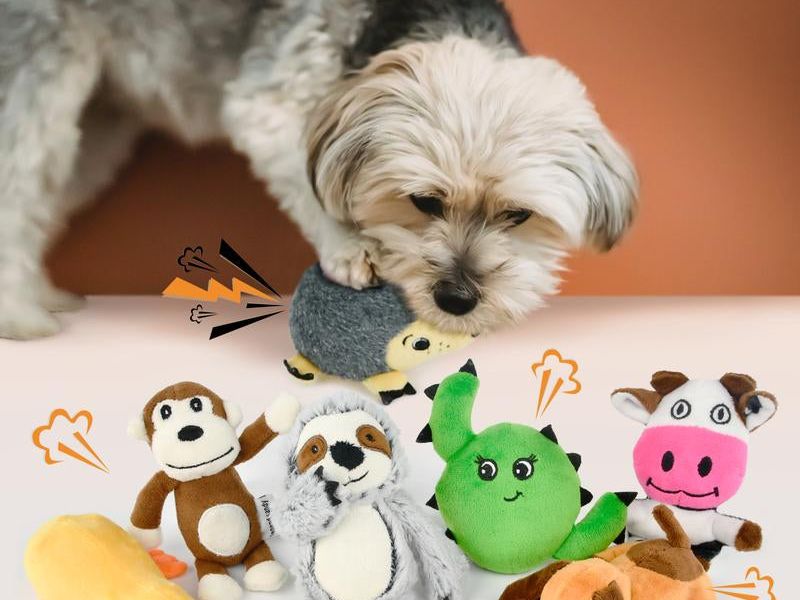 Squeaky Toys Bundle