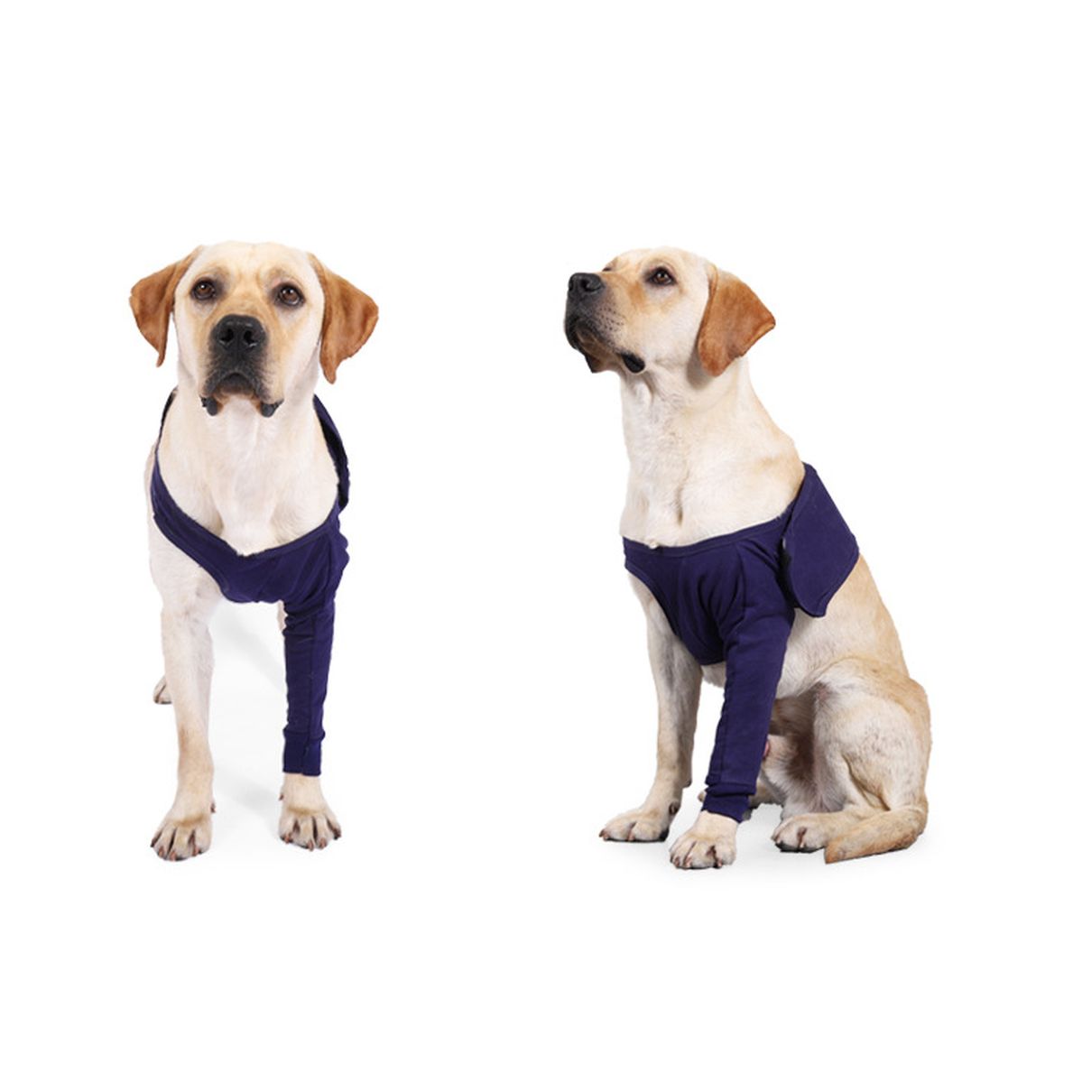 New Anti-Licking Sleeve for Postoperative Recovery of Dog Legs Pet
