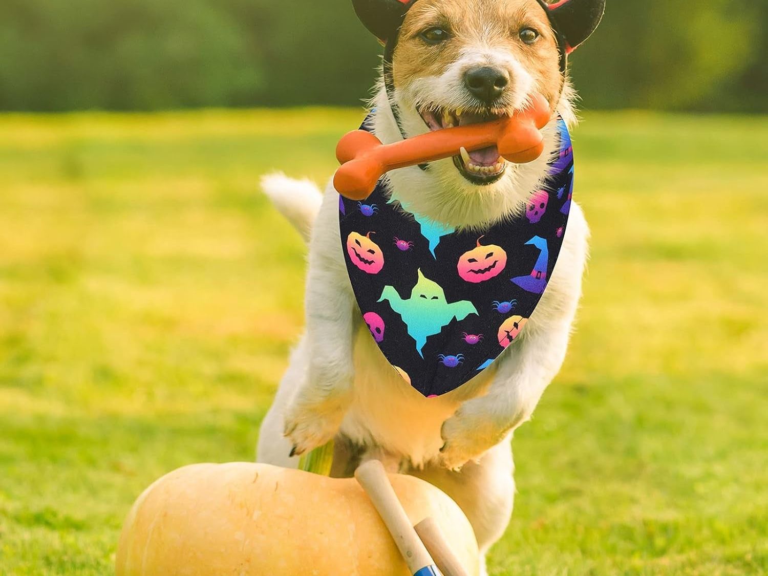 12-Pack Adjustable Halloween Bandanas for Dogs and Cats - Triangle Design Featuring Bat, Ghost, and Pumpkin Patterns - Pet Apparel Accessories