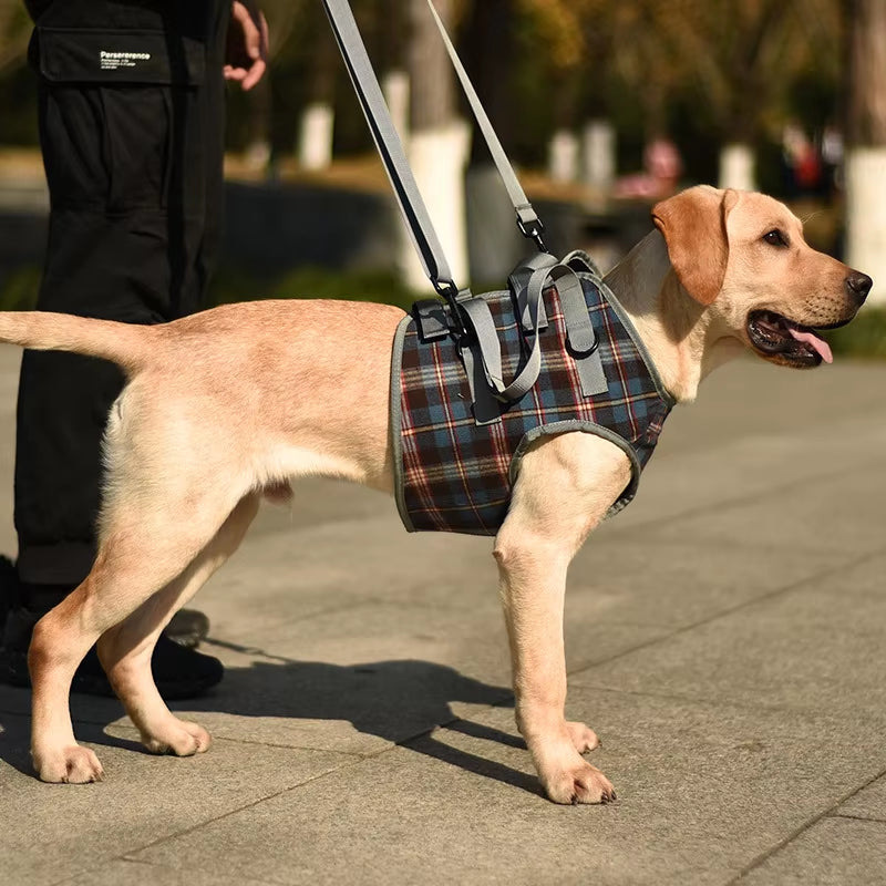 Dog Support Harness for Back & Front Legs Lift Rehabilitation Adjustable Portable for Help Weak Injured Old Disabled Dog Walking