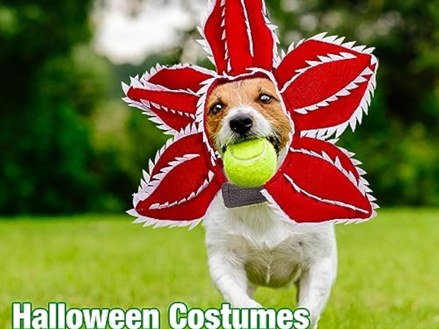 Dog Halloween Chomper Costume - Pet Holiday Demon Hat Scary Headband Flower Cosplay Outfits Funny Headwear Stranger Clothes for Medium Dog