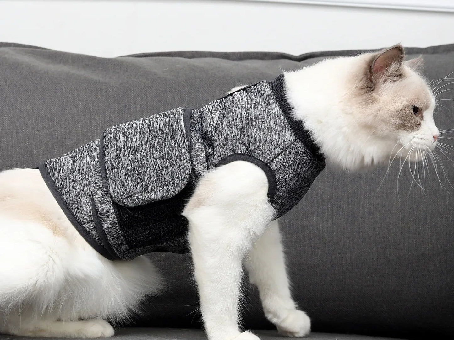 Cats Clothing Anxiety Jacket Thunder Stress Anxiety Relief Coat for Pet Emotional Comfort Clothes Safety Vest Recovery Suit