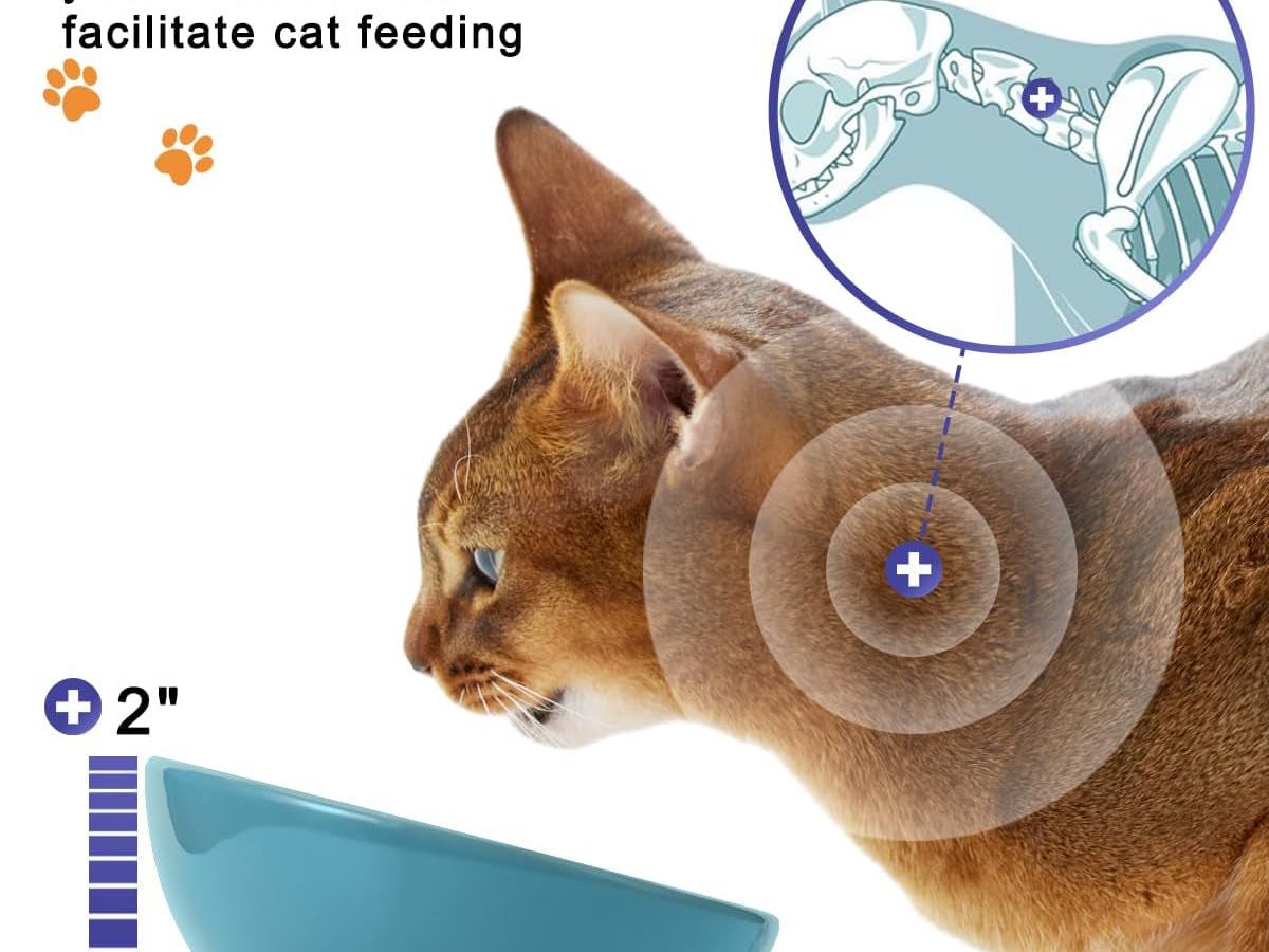 Ceramic Cat Food Bowl