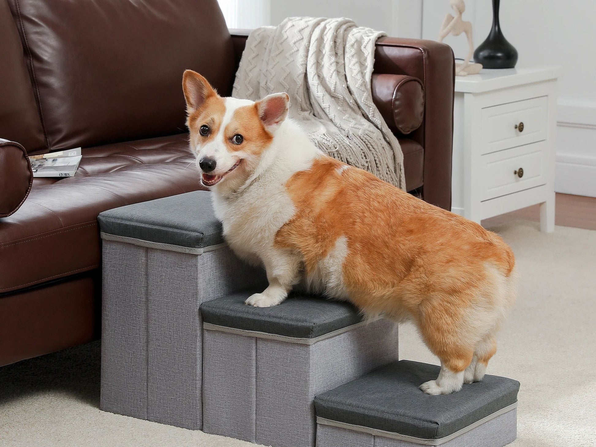3-Tier Dog Stairs Foldable Pet Stair with Storage Box Adjustable Height Dog Steps for Small Old Dog Cat Non-Slip Pet Ramp Indoor