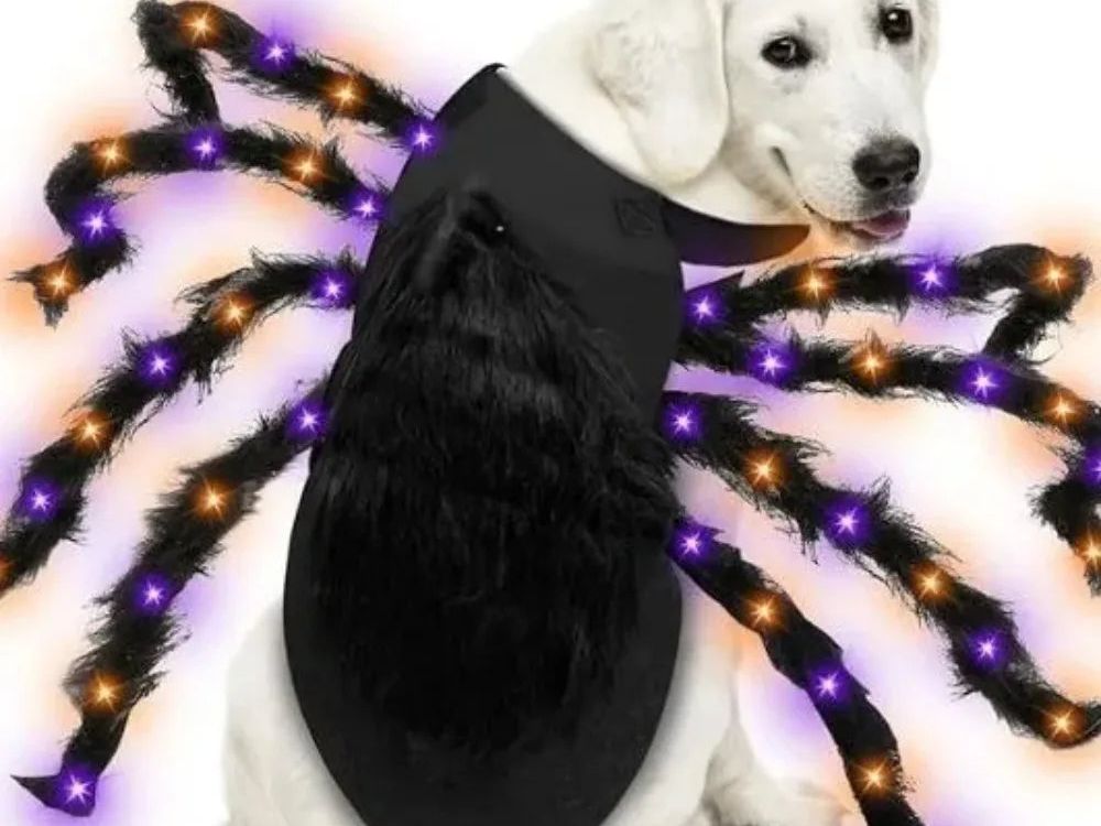 Large Dog Halloween Costume Spider Costume with LED Purple Lights Funny for Dogs Pets Clothes Puppy Outfits Cosplay Party Decor