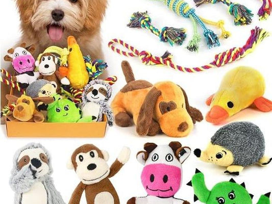 Squeaky Toys Bundle