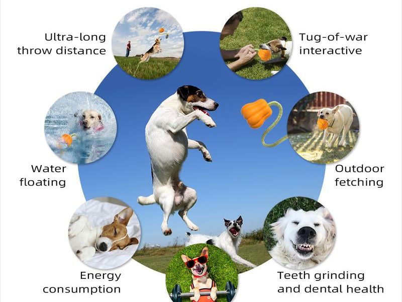 PROKEI Dog Rope Fetch Exercise Toy Formedium/Large Aggressive Chewers Breed Dogschew Interactive Toys Training Tug of War Ballsindoor and Outdoor Halloween Dogtoy Orange Plain Indestructible Dogtoy Super Chewer Dog Training Rope Toy