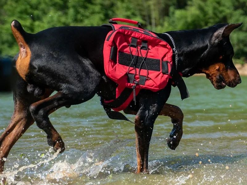 Ultimate Tactical Vest Harness for Large Dogs - Reflective, All-Season Comfort with Quick Release Closure