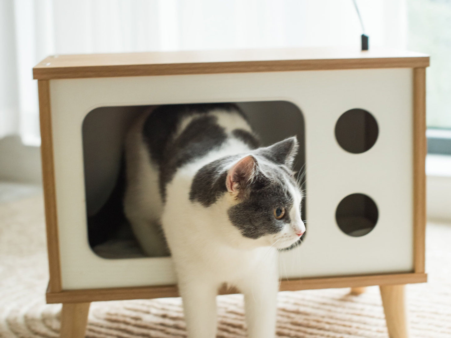 Purr-View Retro TV Cat Condo with Jute Scratching Pad & Washable Mat, Ball Toy Antenna, White & Tan, 20" L X 11.5" W X 16" H