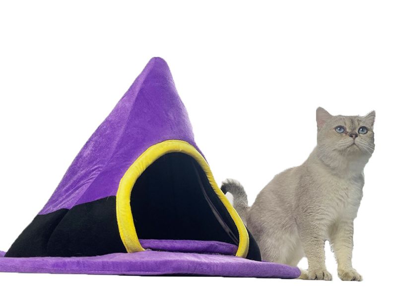 Halloween Witch Hat Cat Nest Cute Shape