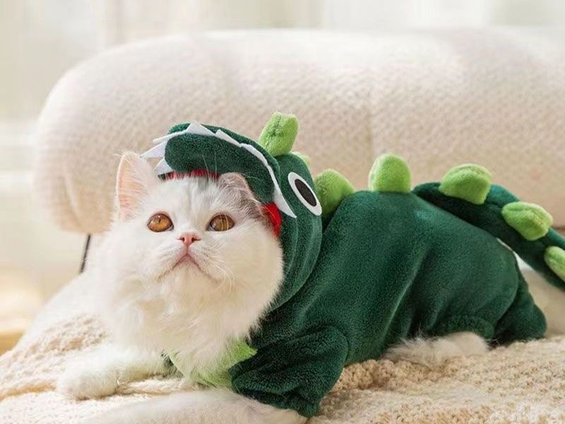 Cat Pet Clothing Anti-Lint Winter