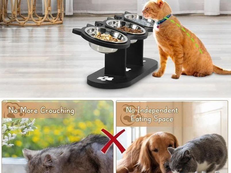 Raised Cat Food Bowls for Indoor Cats, Elevated Cat Bowls,Adjustable Heights Pet Bowl with Black Shelf,3 Stainless Steel Elevated Cat Bowls Stand with 15 ° Tilted,Cat Food and Water Bowl Setcat Food Bowl Slow Feeder Bowl