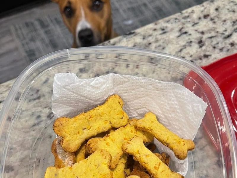 Homemade Dog Treat Kit - DIY Dog Treat Baking Kit W/Molds, Cutters, Recipes & Gift Bags - Bake Fresh, Healthy Organic Training Treats for Dogs at Home